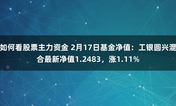 如何看股票主力资金 2月17日基金净值：工银圆兴混合最新净值1.2483，涨1.11%