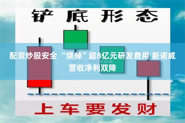 配资炒股安全 “烧掉”超8亿元研发费用 新诺威营收净利双降