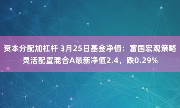 资本分配加杠杆 3月25日基金净值：富国宏观策略灵活配置混合A最新净值2.4，跌0.29%