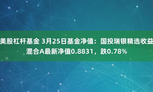 美股杠杆基金 3月25日基金净值：国投瑞银精选收益混合A最新净值0.8831，跌0.78%