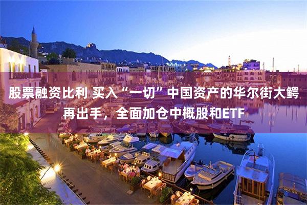 股票融资比利 买入“一切”中国资产的华尔街大鳄再出手，全面加仓中概股和ETF