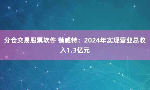 分仓交易股票软件 锴威特：2024年实现营业总收入1.3亿元