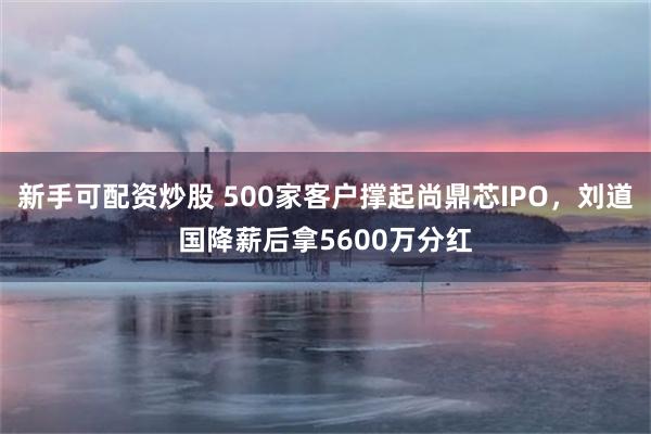 新手可配资炒股 500家客户撑起尚鼎芯IPO，刘道国降薪后拿5600万分红