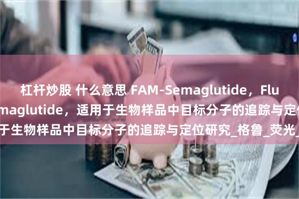 杠杆炒股 什么意思 FAM-Semaglutide，Fluorescein-labeled Semaglutide，适用于生物样品中目标分子的追踪与定位研究_格鲁_荧光_标记