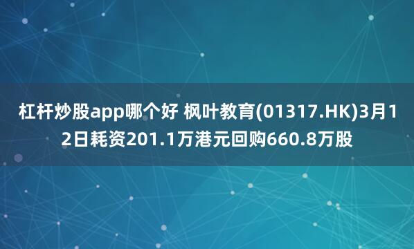 杠杆炒股app哪个好 枫叶教育(01317.HK)3月12日耗资201.1万港元回购660.8万股