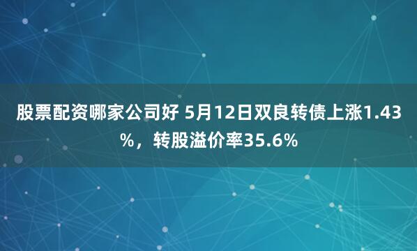 股票配资哪家公司好 5月12日双良转债上涨1.43%，转股溢价率35.6%
