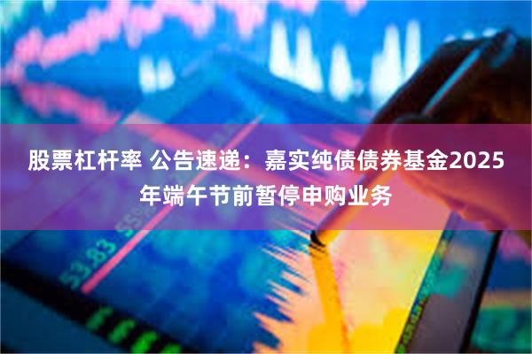 股票杠杆率 公告速递：嘉实纯债债券基金2025年端午节前暂停申购业务
