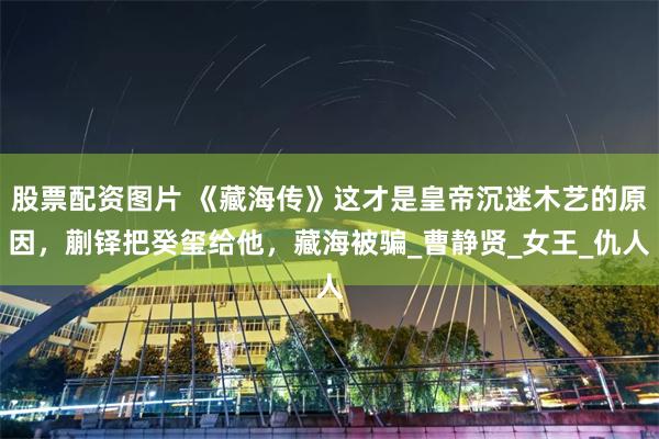 股票配资图片 《藏海传》这才是皇帝沉迷木艺的原因，蒯铎把癸玺给他，藏海被骗_曹静贤_女王_仇人
