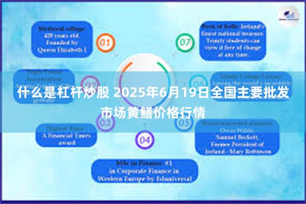 什么是杠杆炒股 2025年6月19日全国主要批发市场黄鳝价格行情
