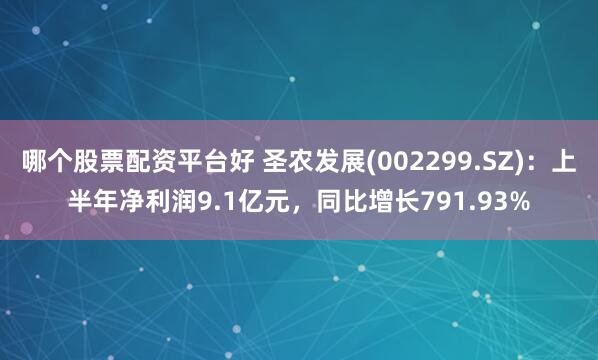 哪个股票配资平台好 圣农发展(002299.SZ)：上半年净利润9.1亿元，同比增长791.93%