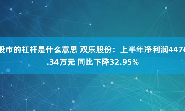 股市的杠杆是什么意思 双乐股份：上半年净利润4476.34万元 同比下降32.95%