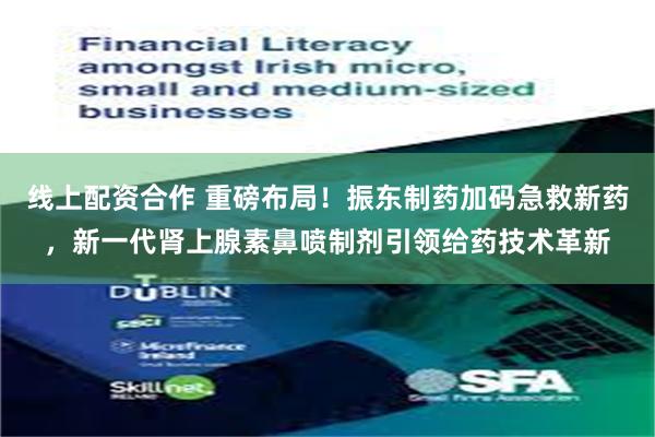 线上配资合作 重磅布局！振东制药加码急救新药，新一代肾上腺素鼻喷制剂引领给药技术革新