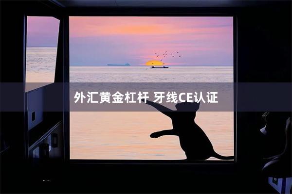 外汇黄金杠杆 牙线CE认证