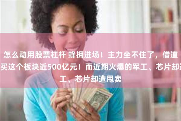 怎么动用股票杠杆 蜂拥进场！主力坐不住了，借道ETF狂买这个板块近500亿元！而近期火爆的军工、芯片却遭甩卖
