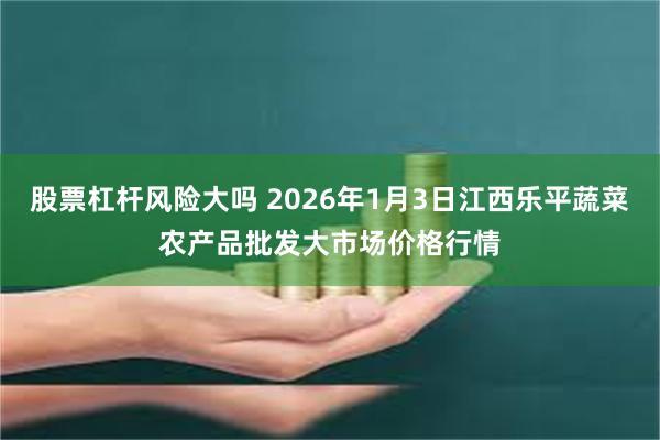 股票杠杆风险大吗 2026年1月3日江西乐平蔬菜农产品批发大市场价格行情